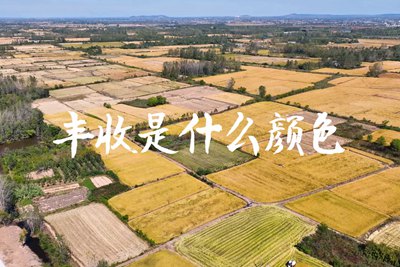 春種一粒粟，秋收萬顆子。多彩的豐收季，只愿五谷豐登，百事興旺3.240_400.jpg